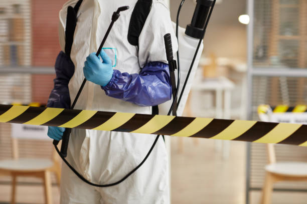 Professional Odor Removal technician working in Dana, IN
